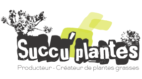 Succu' Plantes